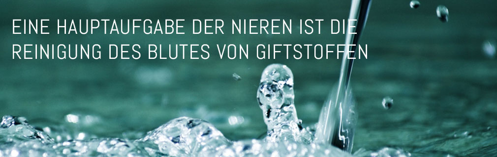 Hauptaufgabe der Nieren (Nierenfunktion)